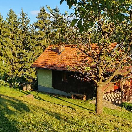 Villa Hiska Ob Gozdu à Polzela Extérieur photo