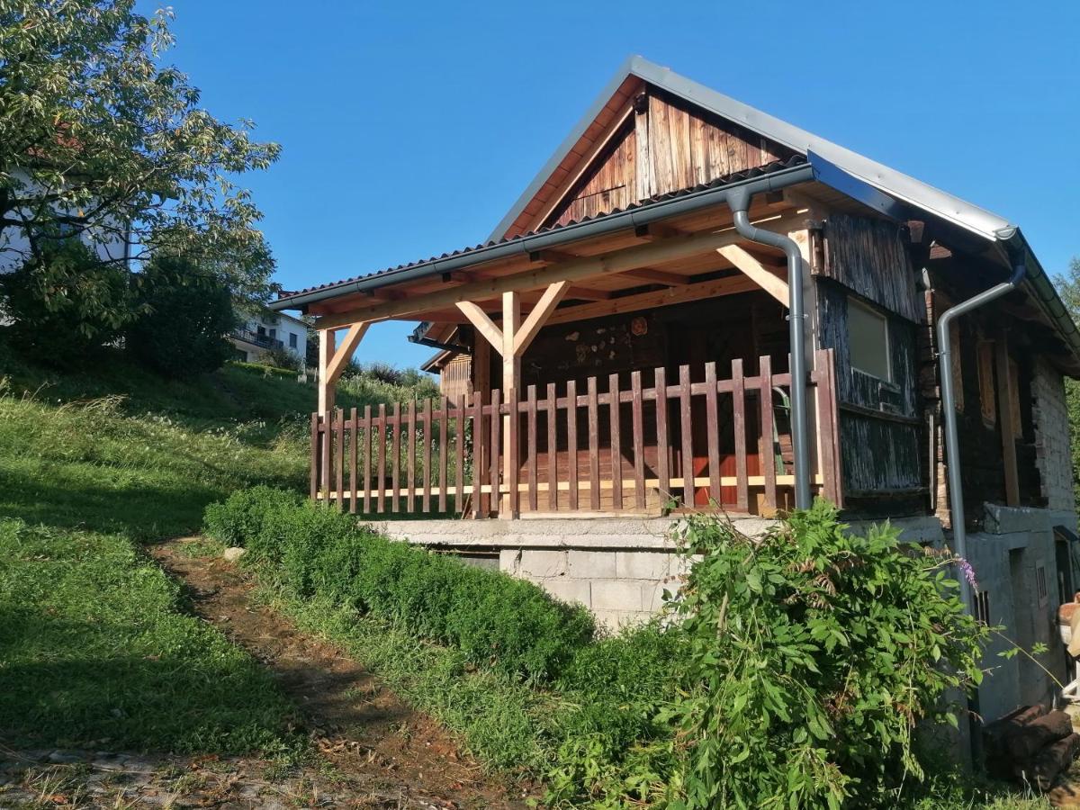 Villa Hiska Ob Gozdu à Polzela Extérieur photo