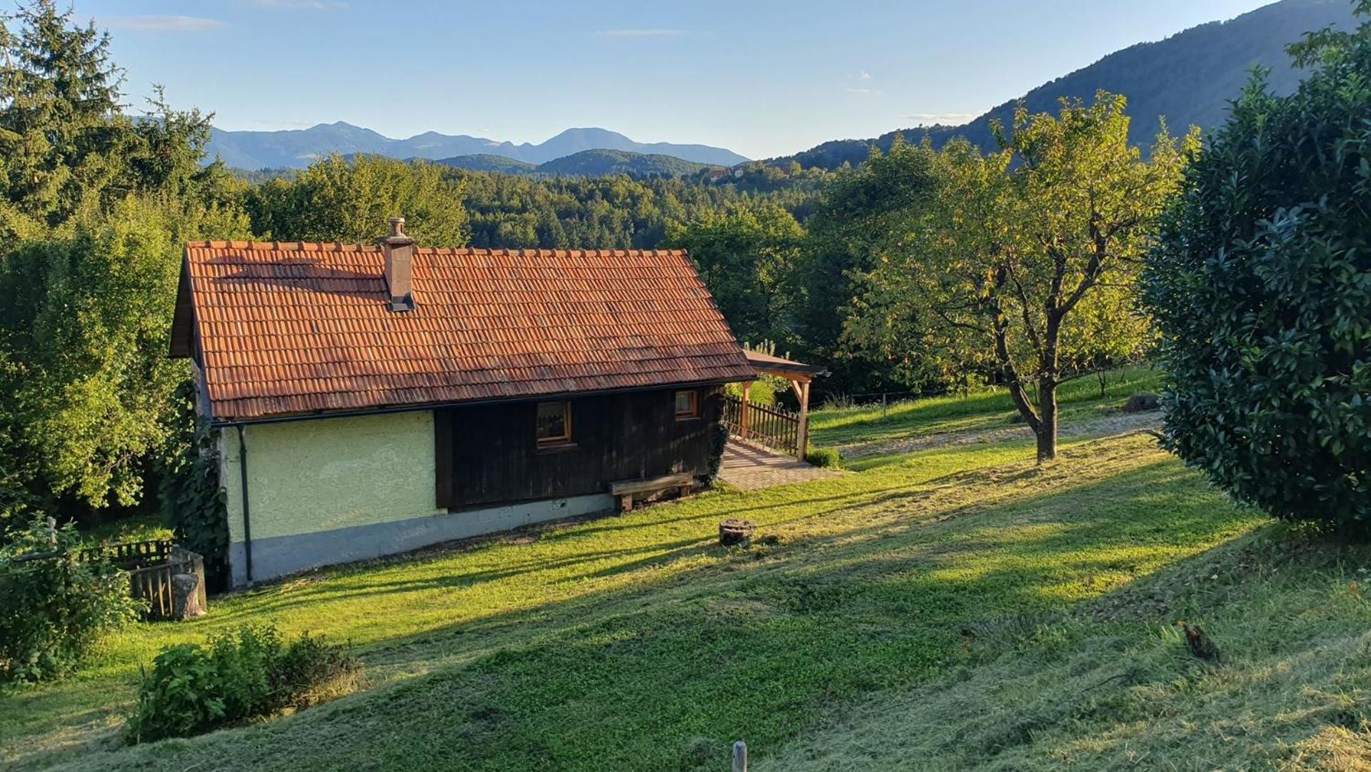 Villa Hiska Ob Gozdu à Polzela Extérieur photo