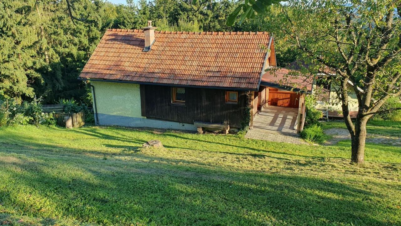 Villa Hiska Ob Gozdu à Polzela Extérieur photo